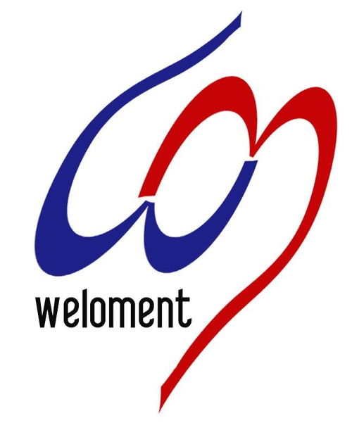 上海維在網絡科技