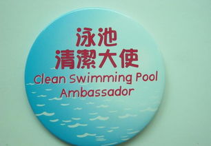 馬口鐵徽章 定制價格、廠家選擇與廣告應用全攻略